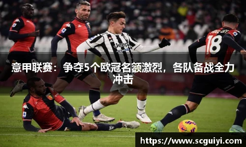 333体育